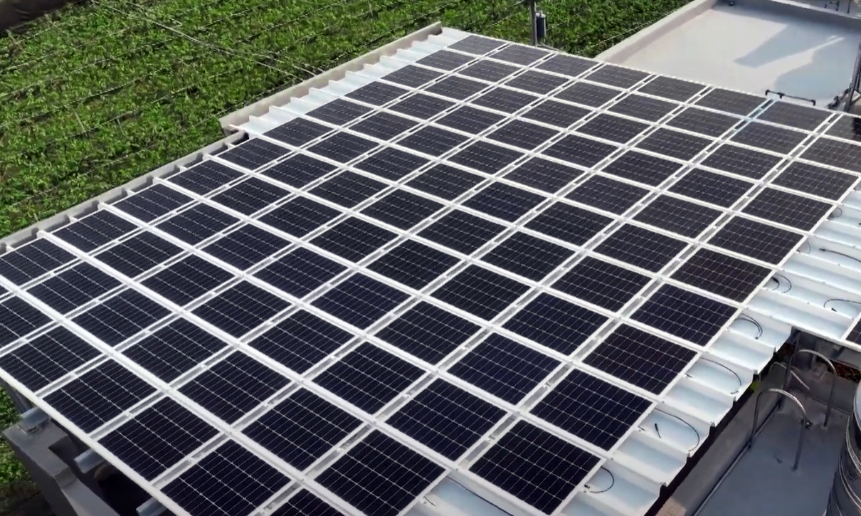 jinnian金年会SunSteel光电浪板升级双玻结构，以提升机械负载强度及气候耐候度，可广泛运用于多元场域