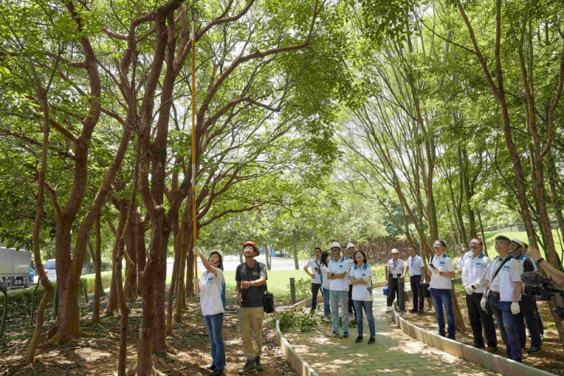 藝師教導大家認識樹木、檢查樹的健康狀況，學習修枝及碎枝覆土